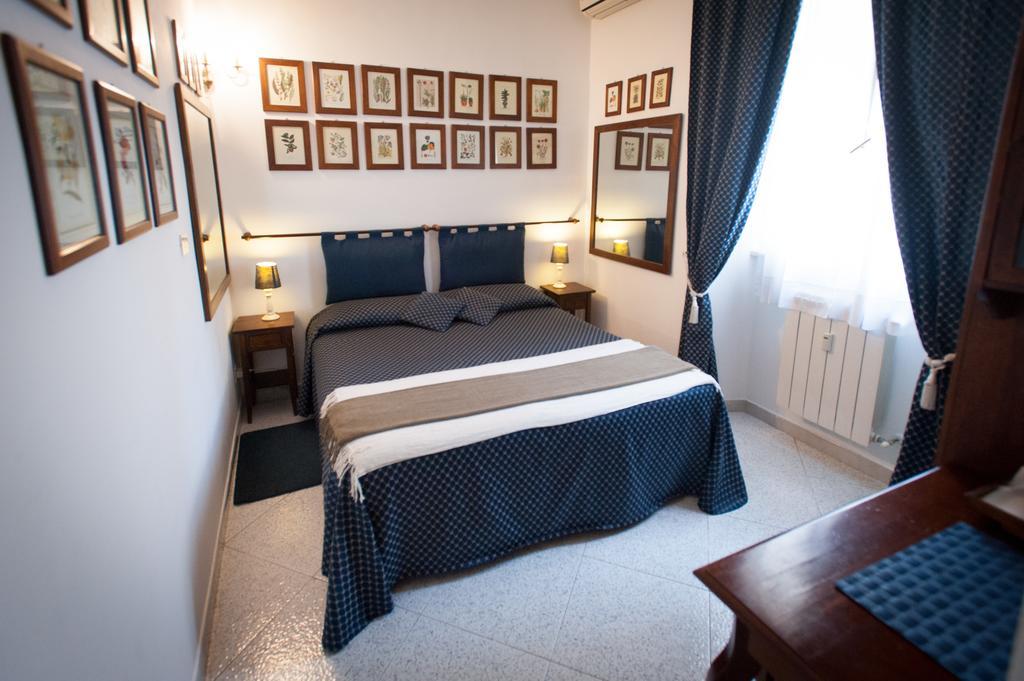 A Casa Di Serena A San Pietro Affittacamere Roma